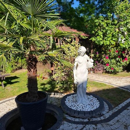 Apartament Wlodek Jelenia Góra Eksteriør billede