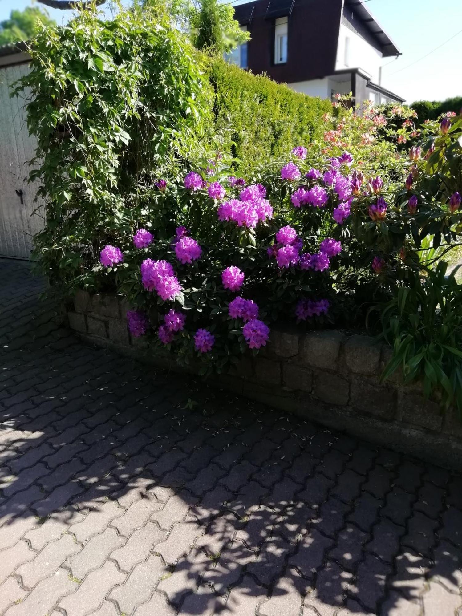 Apartament Wlodek Jelenia Góra Eksteriør billede