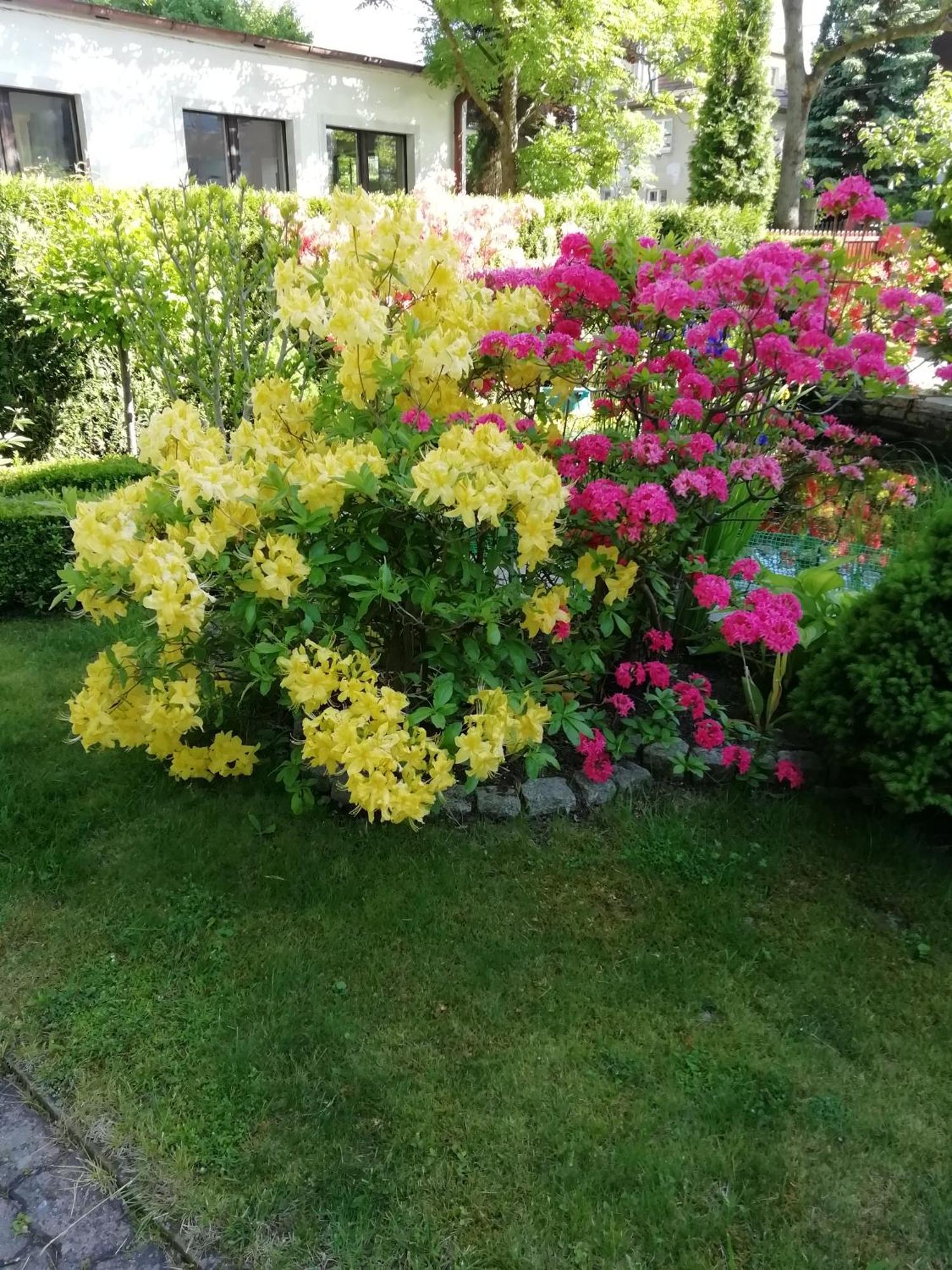 Apartament Wlodek Jelenia Góra Eksteriør billede