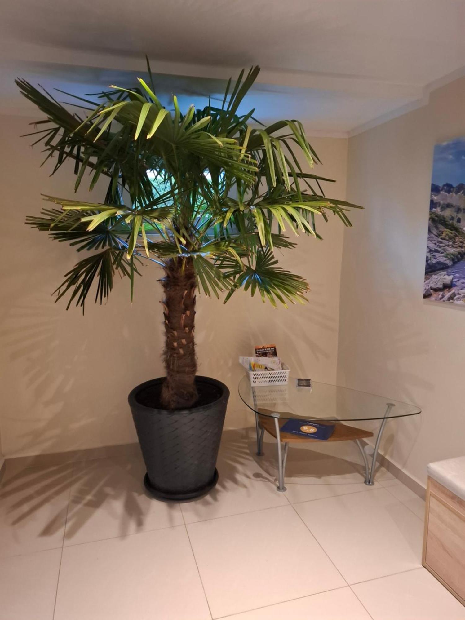 Apartament Wlodek Jelenia Góra Eksteriør billede